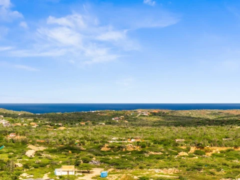 aruba view arikok santa cruz